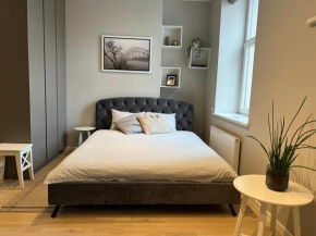 Cozy & Stylish Studio - Great for Short Trips